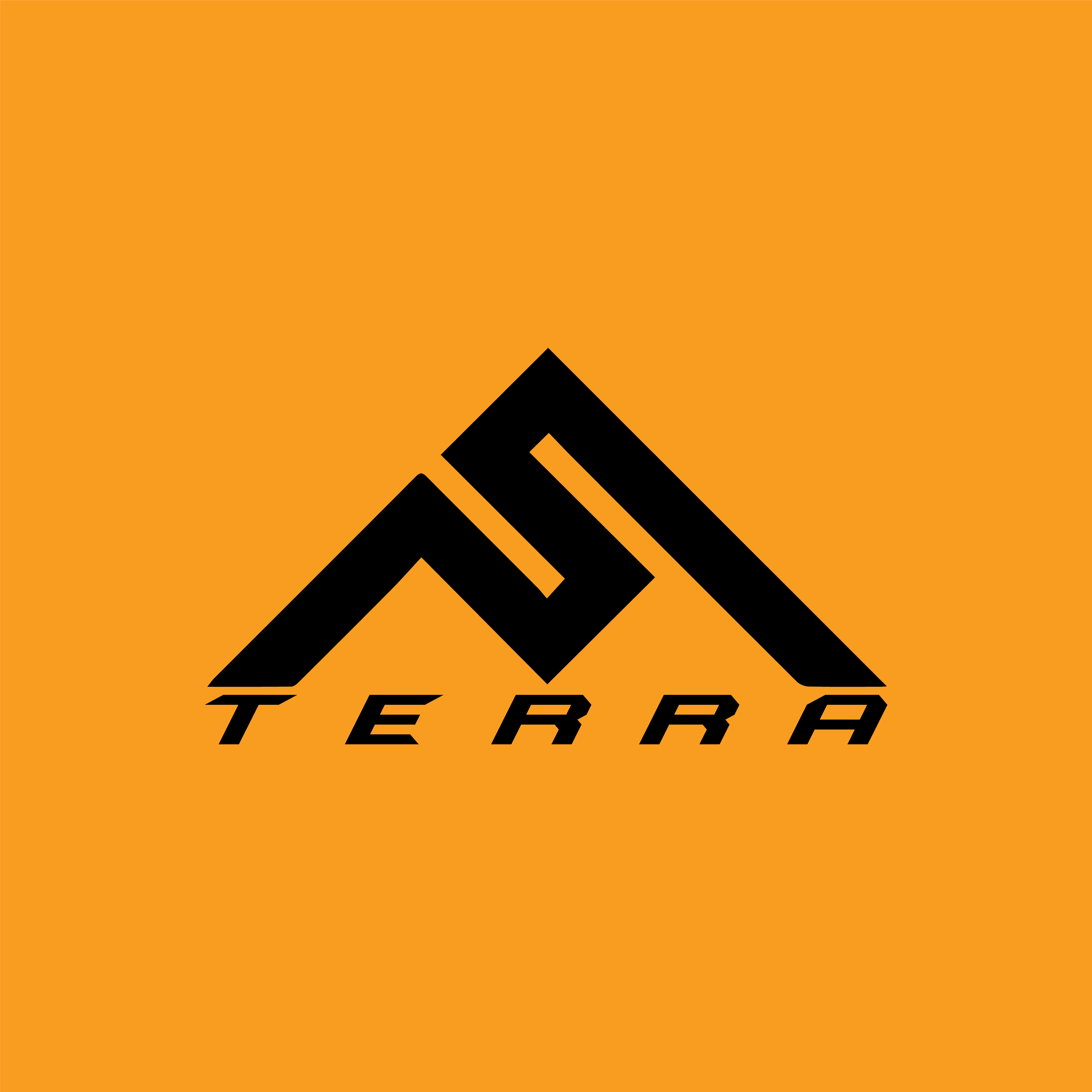 TERRA